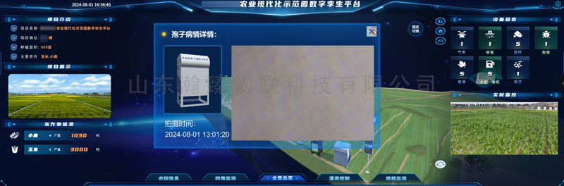 孢子1.jpg