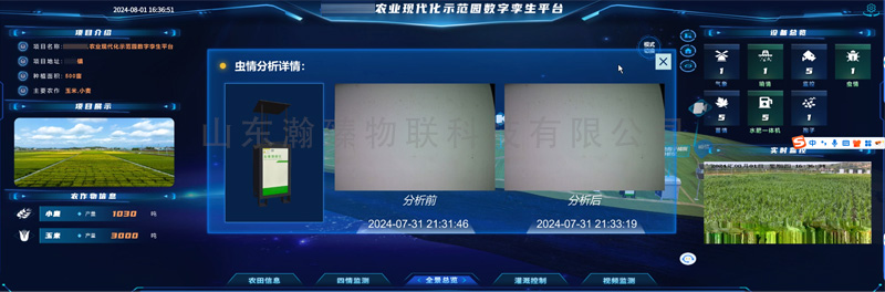 蟲情1.jpg